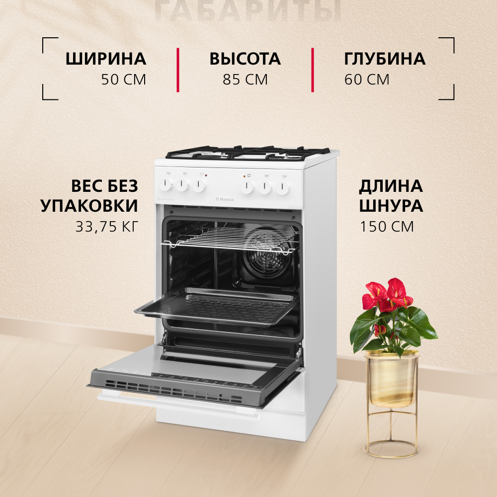 Комбинированная плита Hansa FCMW58023