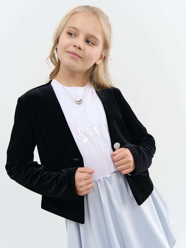 Жакет из бархата 