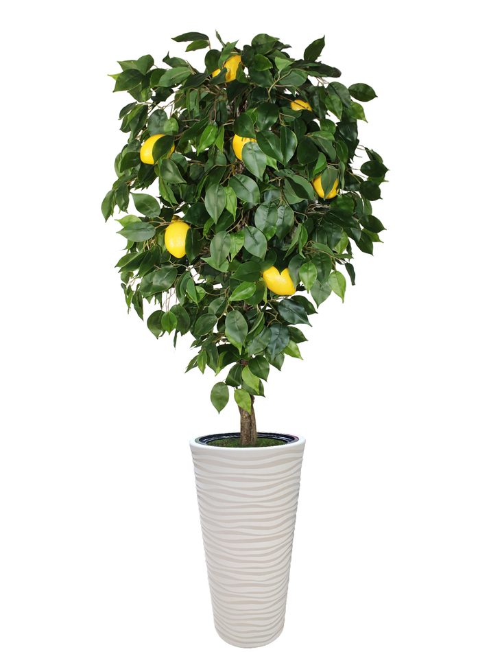 Искусственное дерево Лимон 170 см в высоком круглом белом кашпо