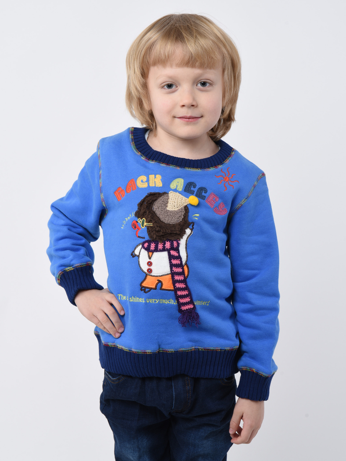 Толстовка для мальчика