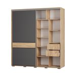 Шкаф-купе Крафт-10