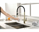 Смеситель для кухни Paulmark Gravity Gr213888-G золото