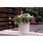 Горшок Эко Цилиндр ,Слоновая Кость, пластиковый горшок с дренажным дном ,д.20 н.21 5,2 л