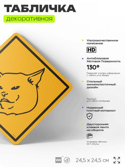 Табличка мем "Женщина орет на кота" шуточная прикольная табличка на дверь и стену, для офиса и дома, декоративный знак, 24,5х24,5 см, пластиковая, Айдентика Технолоджи