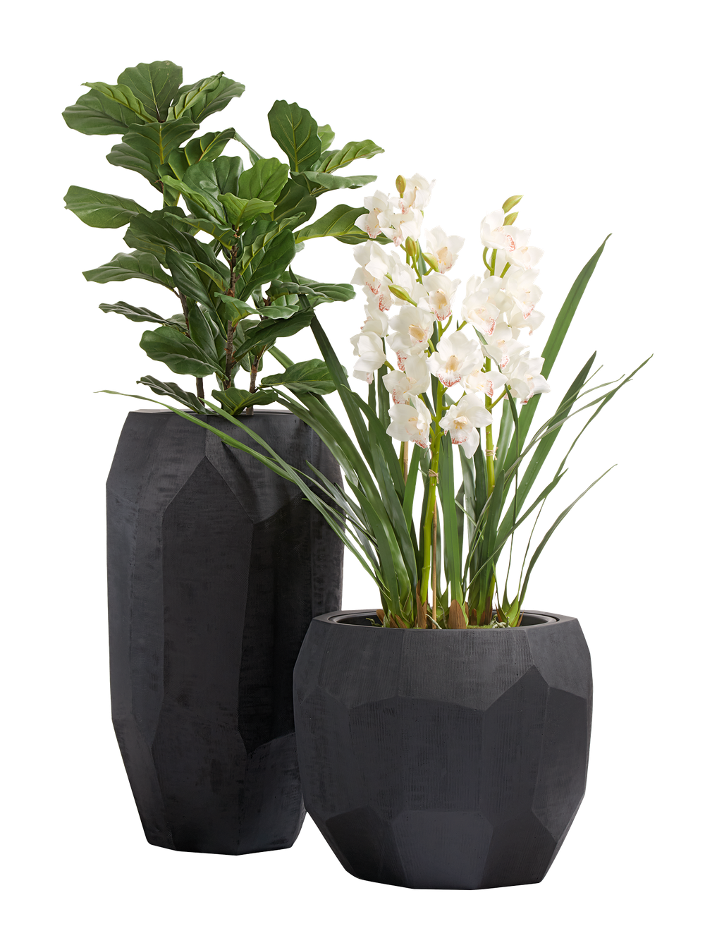 Композиция с орхидеями в кашпо Treez Effectory Anthra