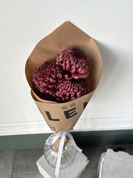 Кулек из одноголовой хризантемы