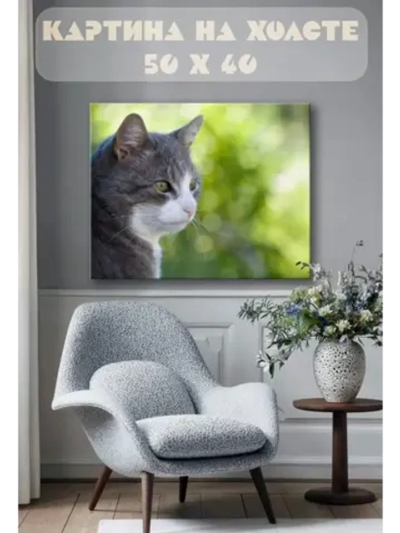 Картина на стену 40 X 50 Кот