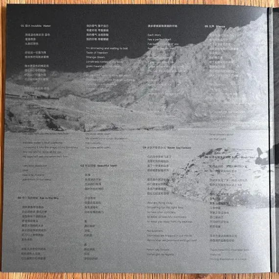 The Fuzz - Fazi – Folding Story - LP