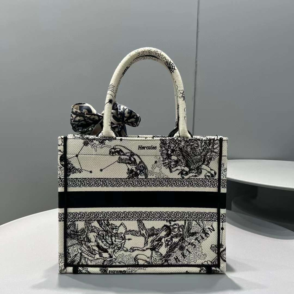 Dior Book Tote