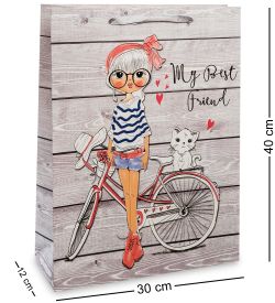 Z-20-3 Пакет большой