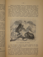 "Аквариум любителя. Подробное описание флоры и фауны аквариума, устройство аквариума, уход за ним и пр.". Н.Ф.Золотницкий. 1890г.