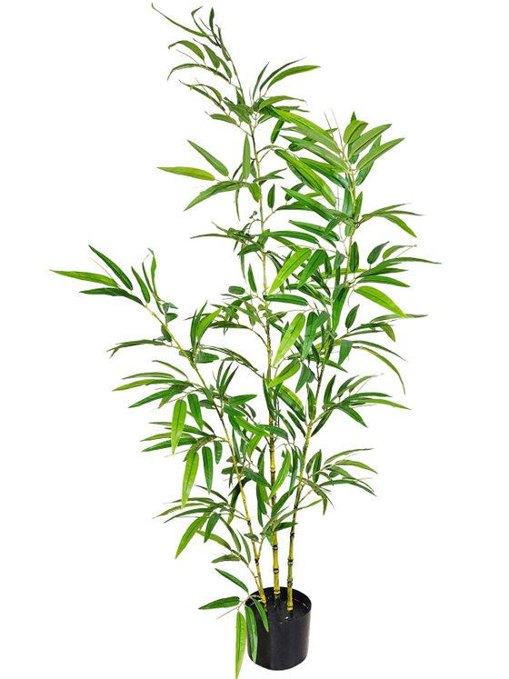 Бамбук декоративный 150см Панда в кашпо