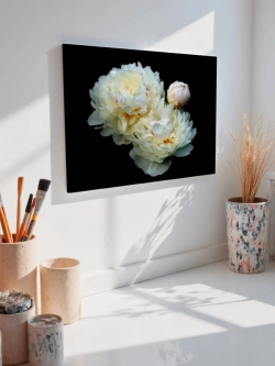 Картина на стену 40 X 50 Пионы