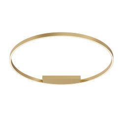 Светильник потолочный светодиодный Maytoni   MOD058CL-L65BSK