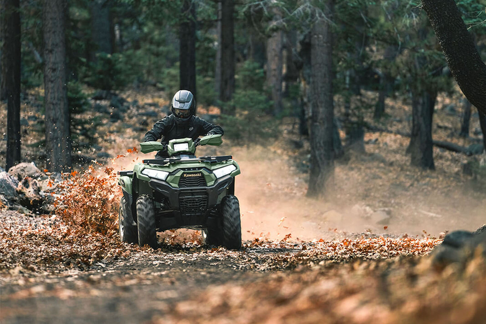 Квадроцикл KAWASAKI Brute Force 750 LE EPS (2024) (ПСМ)