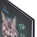 Дневник 5-11 класс 48 л., твердый, BRAUBERG, глянцевая ламинация, с подсказом, "Ты-Гы-Дык", 107184