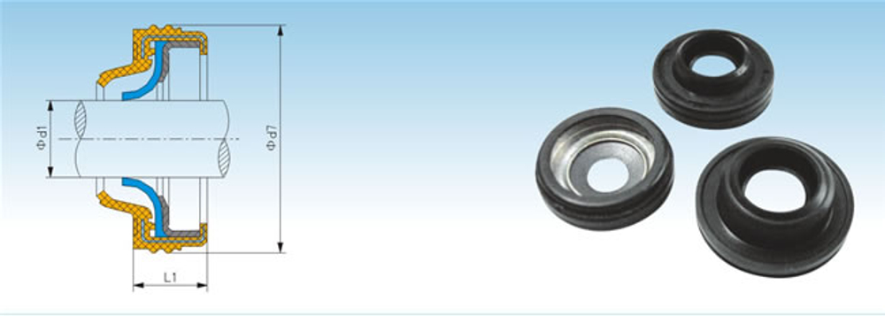 BSC1(CB)