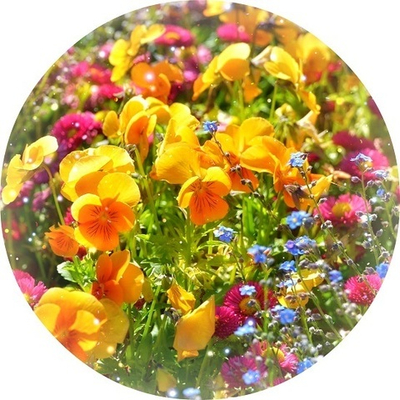 Вебинар-Интенсив 
"Эмоциональная Алхимия". Часть 3