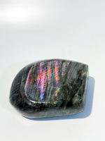 Срез Лабрадора M