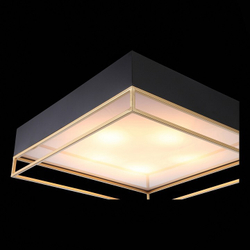 Накладной светильник ST-Luce SL1127.422.05