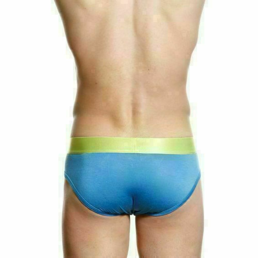 Мужские трусы брифы Calvin Klein Sweden CK07232