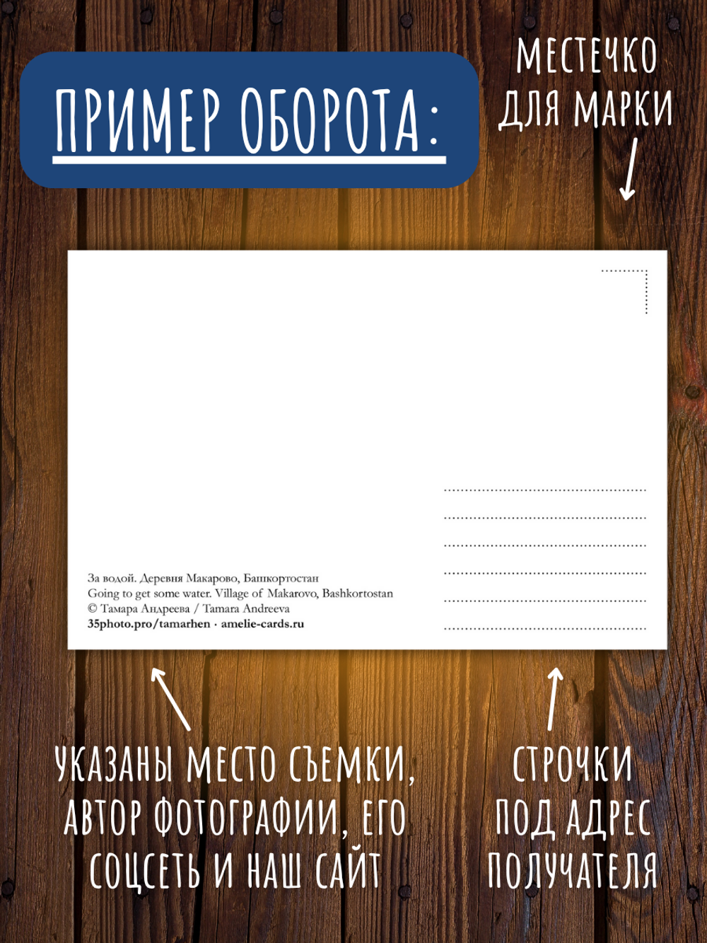 Моя Россия. Зима (выпуск №5, 2025/2026)