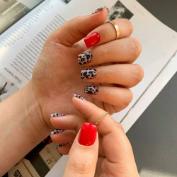 Пластина Swanky Stamping 021