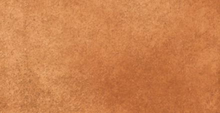 Подступенник Loseta Gobi