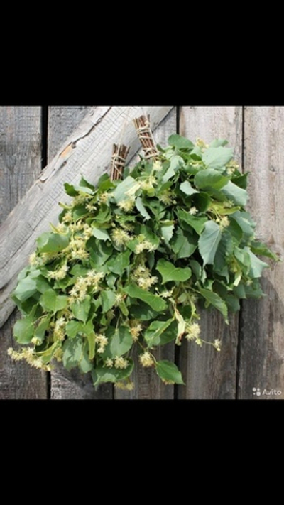 Веник Липовый