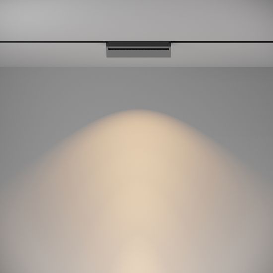 Трековый светильник Technical TR075-2-20W3K-B