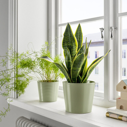 IKEA BROKSPIREA  (ИКЕА БРОКСПИРЕА)  -  Простыня, светло-зеленая, 15 см