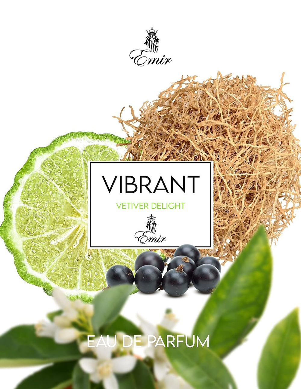 Paris Corner Vibrant Vetiver Delight EDP