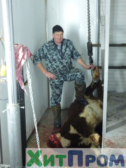Комплекс убоя и переработки КРС до 20 голов/смена и МРС до 200 голов/смена. р. Татарстан