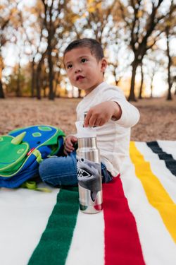 Детская термобутылка Klean Kanteen Insulated Kid Classic Narrow 12oz (355мл) Mr. Shark