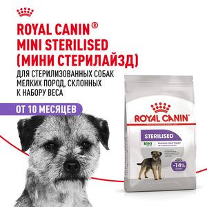 Уценка! Срок 03.08.26/ Сухой корм Royal Canin Mini Sterilised для взрослых стерилизованных собак мелких размеров, склонных к набору веса