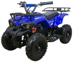 Электроквадроцикл Avantis CLASSIC E 800W NEW