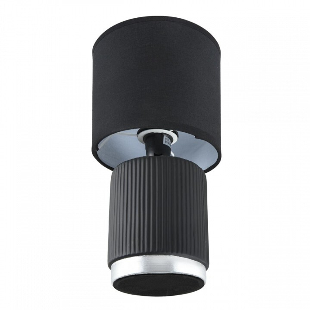 Настольная лампа декоративная Lumion KAISA 8179/1T