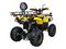 Квадроцикл AVANTIS Patriot Lux