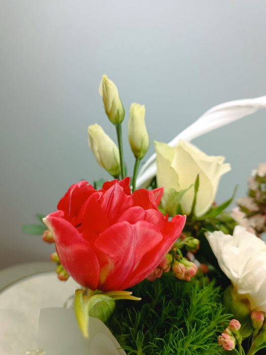 Весенняя корзина с тюльпанами