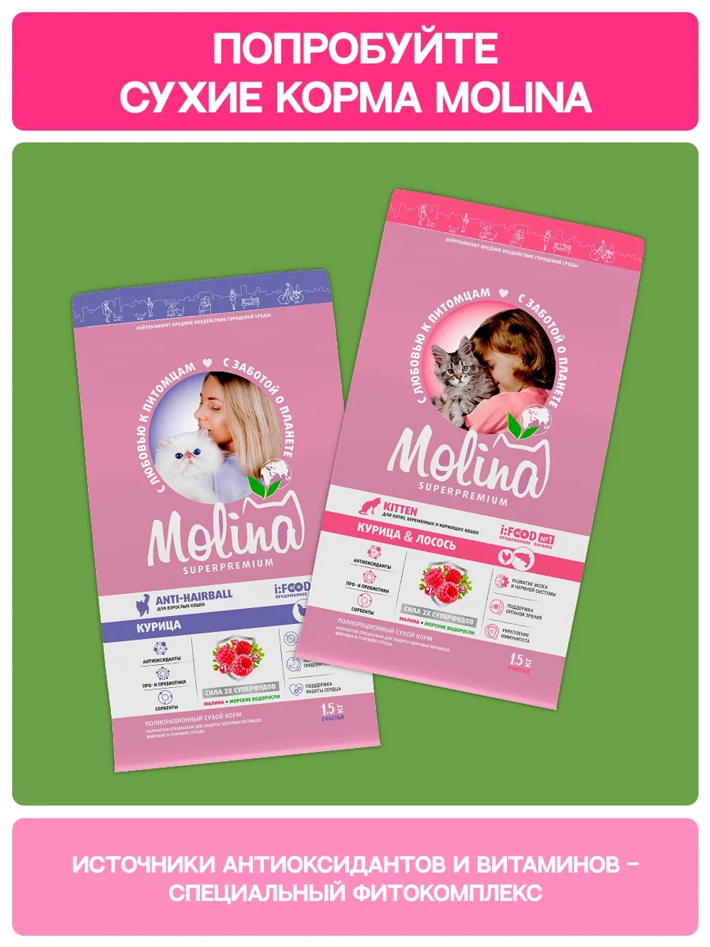Функциональное крем-лакомство MOLINA с уткой и индейкой для кошек для Здоровья мочевыводящей системы 4х12г