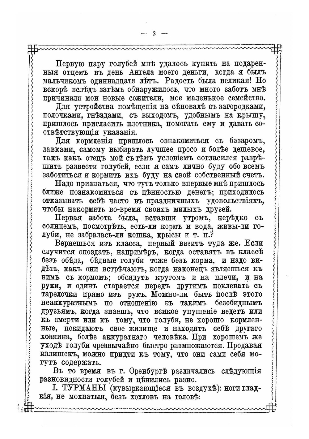 Голубиный охотник | Пальцев Василий Михайлович