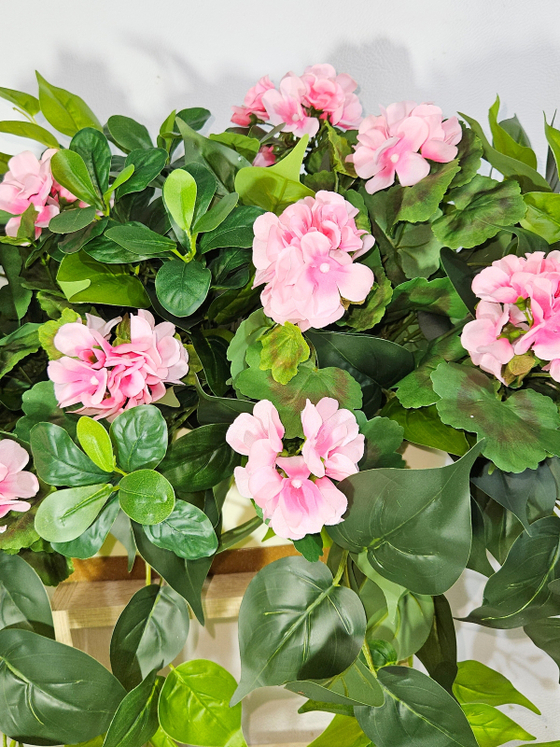 Герань розовая с зеленью 80см в длинном кашпо