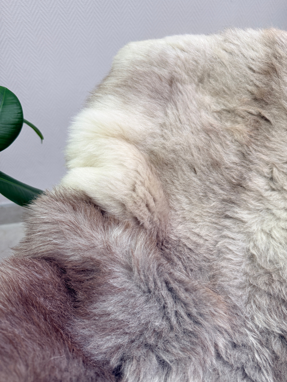 Шкура коврик меховой прикроватный овчина, 120х65 см.