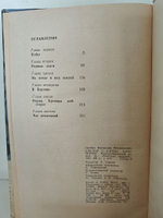 Ювелир с улицы Капуцинов. Приключенческий роман