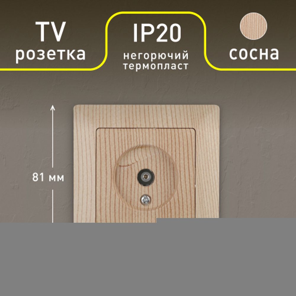 Розетка Intro Solo 4-301-11 TV одиночная, СУ, сосна
