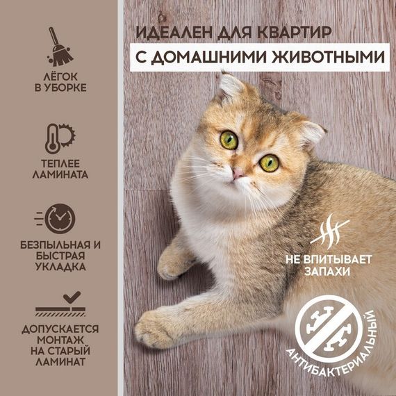 SPC ламинат I-Floors Basic - Дуб Боярд (4.2 мм)
