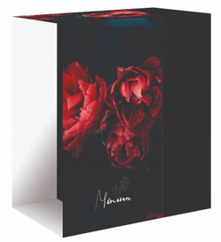 MINERVA - Ваза на ножке 40 см; стекло