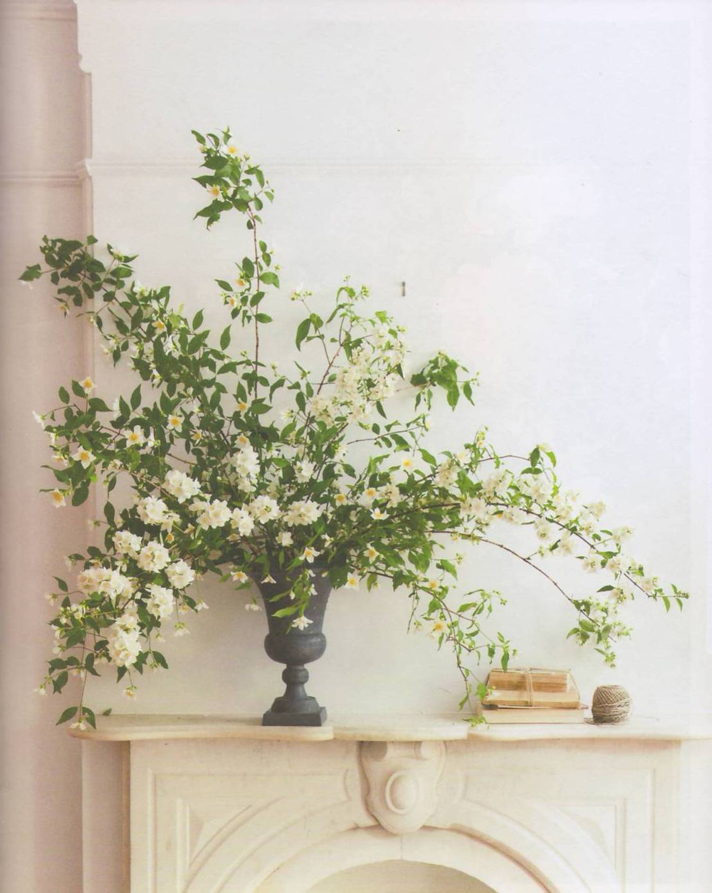 The Flower Workshop