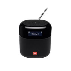Портативная колонка JBL Tuner XL FM