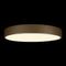 Потолочный светодиодный светильник Loft IT Flims 10228/A